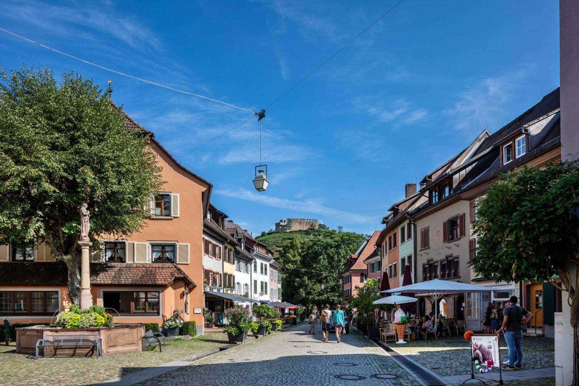 Ferienwohnung Am Neumagen Staufen im Breisgau Eksteriør bilde